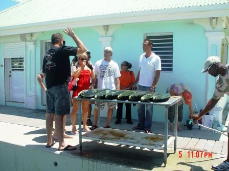 Maarten Deep  Fishing on St Maarten Deep Sea Fishing St Martin   Make Payments