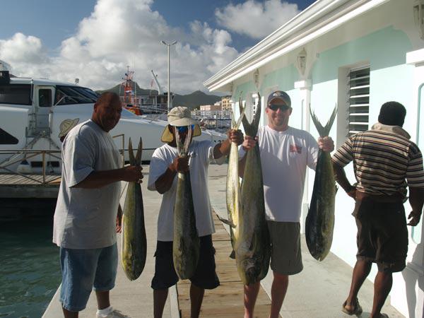 Mahi Mahi(dolphins)